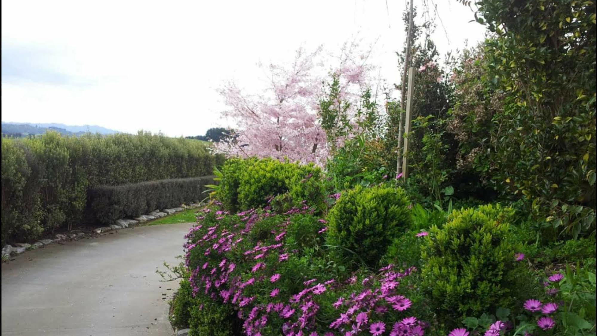 Waitomo Orchard Estate B&B Otorohanga Exterior photo