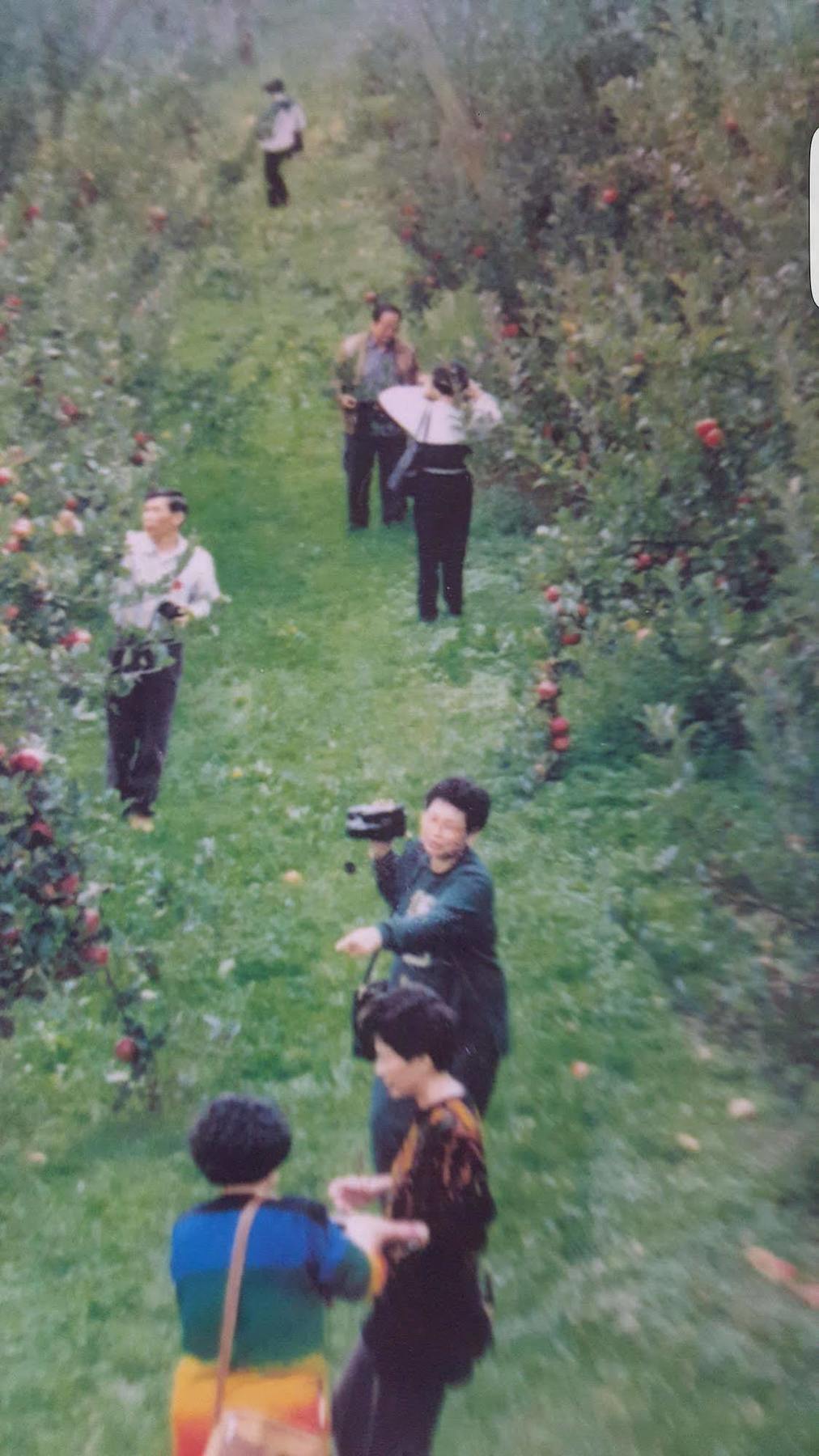 Waitomo Orchard Estate B&B Otorohanga Exterior photo